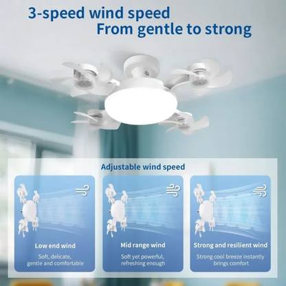 2-in-1 Ceiling Fan Light