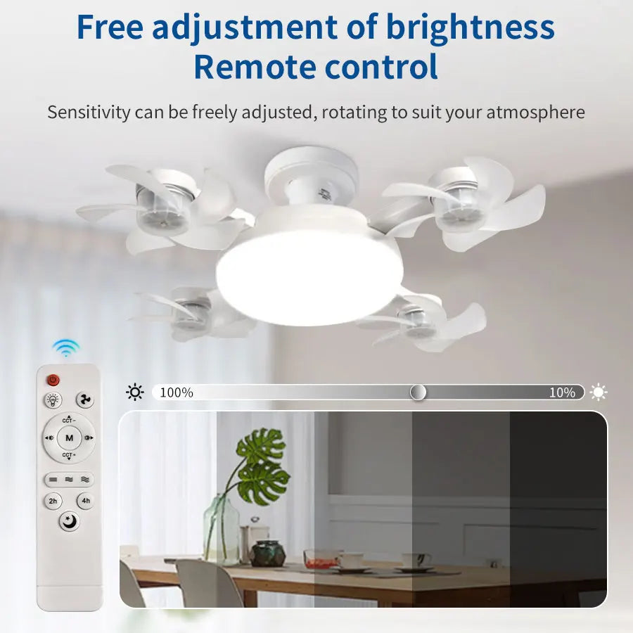 2-in-1 Ceiling Fan Light