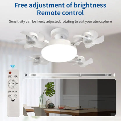 2-in-1 Ceiling Fan Light